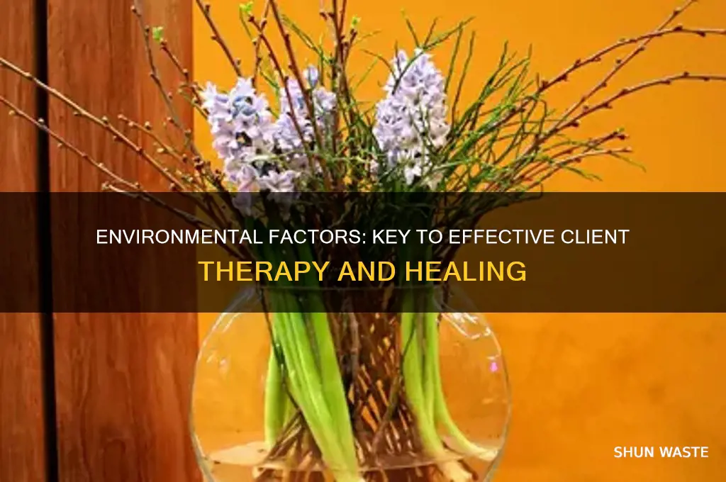 why look at the environment when helping a client therapy
