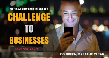 Navigating Macro Environment Challenges: Key Threats to Business Success