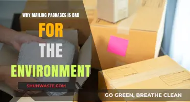 Mailing Packages: The Hidden Environmental Costs of Shipping