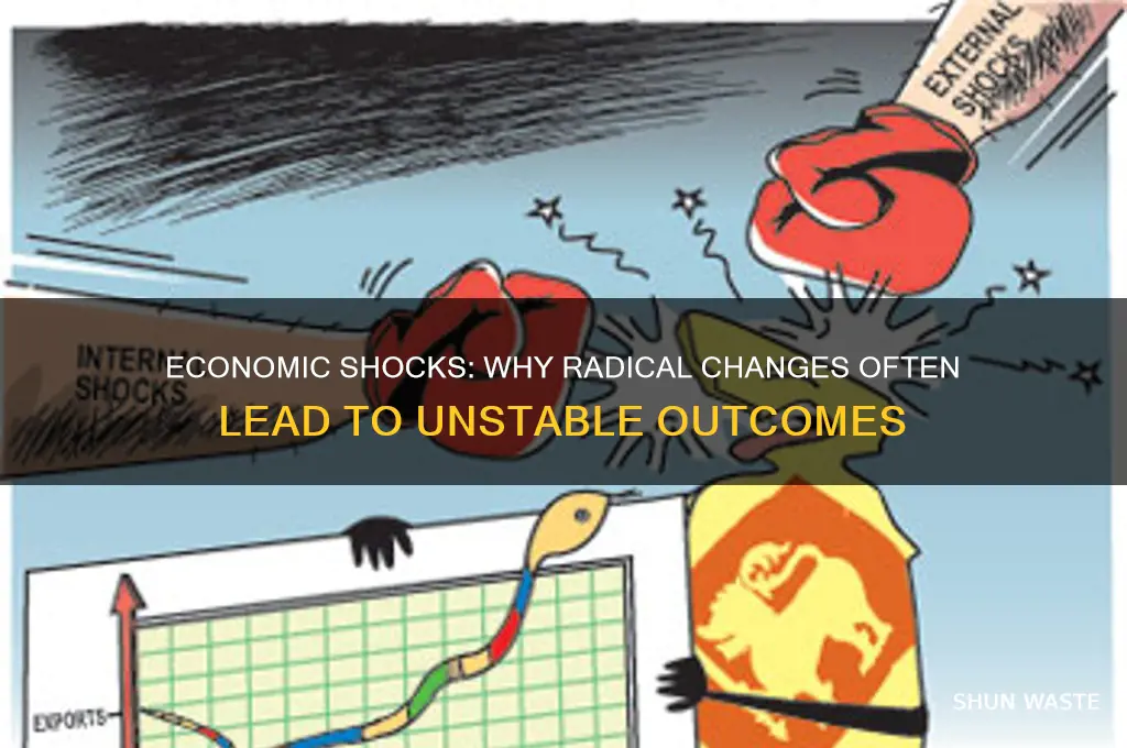 why massive changes to an econmic environment is never good