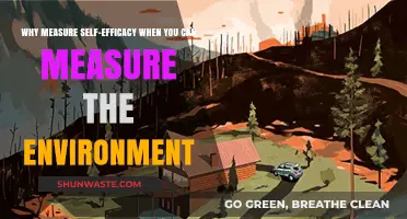 Shift Focus: Measure Environment, Not Self-Efficacy for Better Outcomes