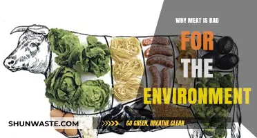 Meat’s Environmental Impact: How Your Diet Harms the Planet