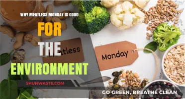 Meatless Monday: A Simple Step for a Greener Planet