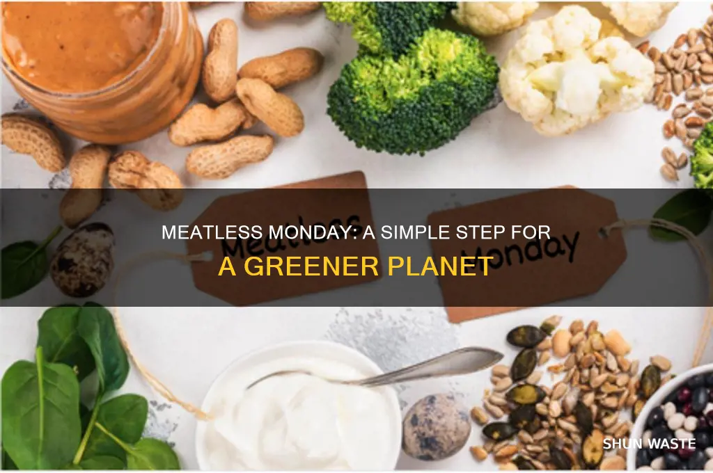why meatless monday is good for the environment