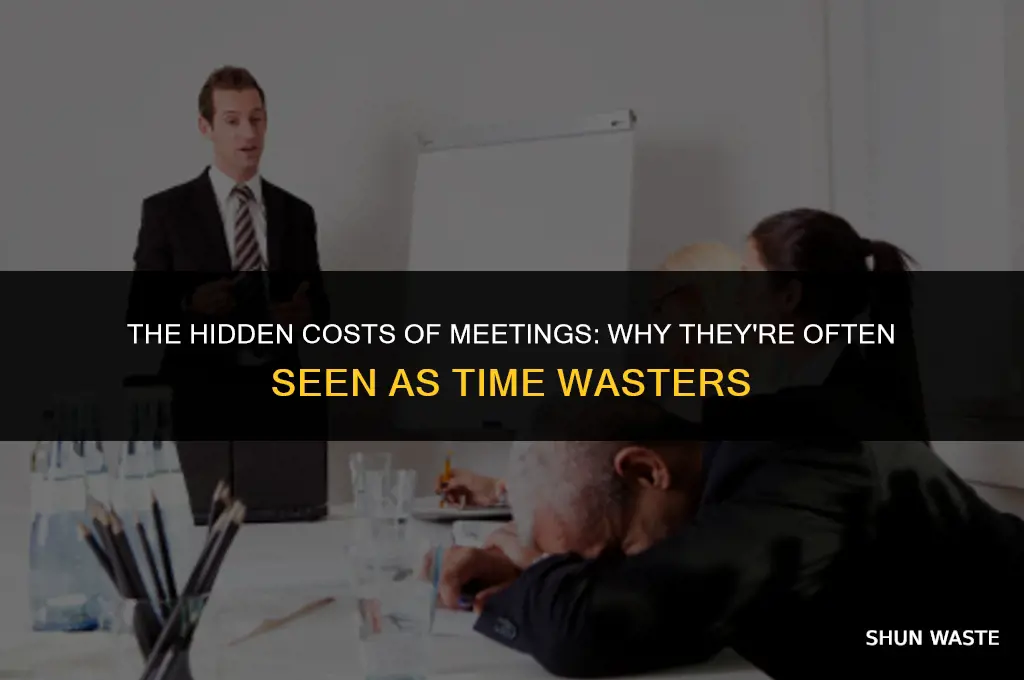 why meetings are called waste of time
