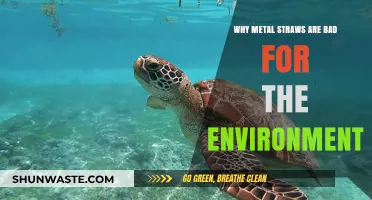 Metal Straws' Hidden Environmental Costs: Uncovering the Greenwashing Myth