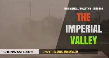 Mexicali's Pollution Crisis: Devastating Imperial Valley's Air, Health, and Future