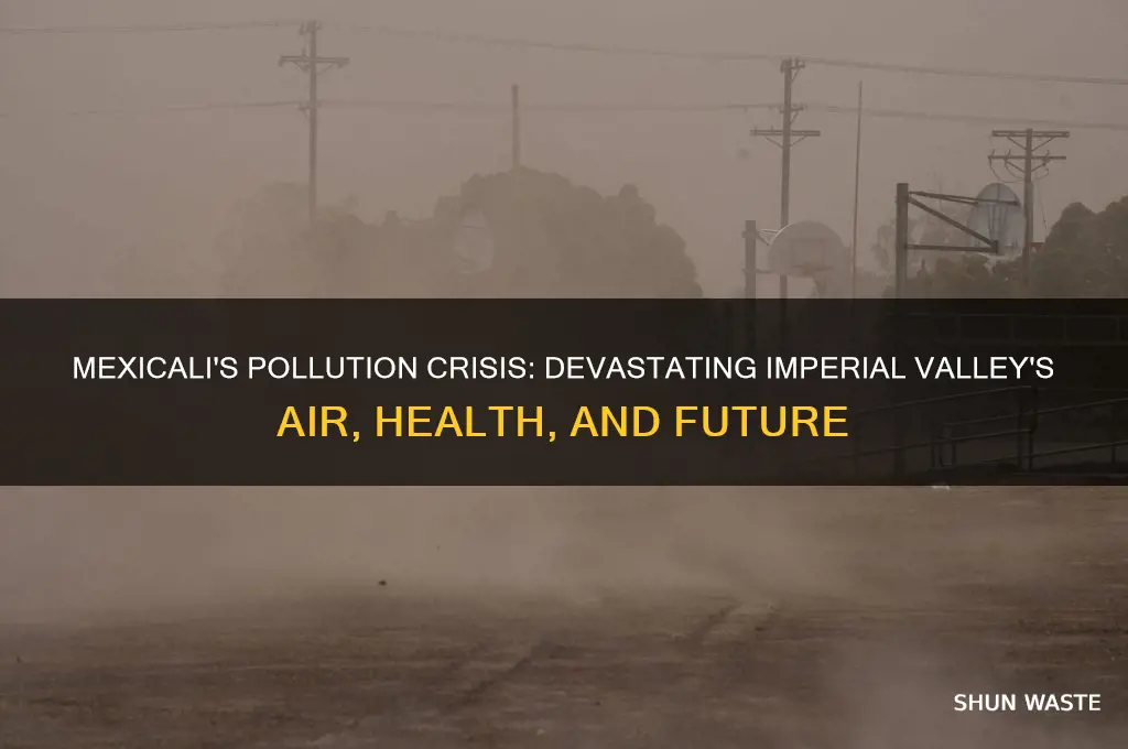 why mexicali pollution is bad for the imperial valley