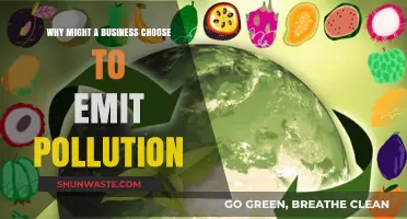Why Businesses Opt for Pollution: Economic Incentives and Trade-offs