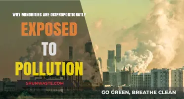 Environmental Injustice: Why Minorities Face Disproportionate Pollution Exposure