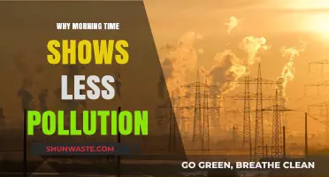 Morning Air Quality: Understanding Lower Pollution Levels at Dawn