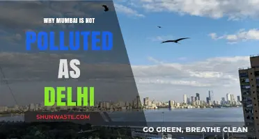 Mumbai's Cleaner Air: Unraveling the Pollution Divide with Delhi