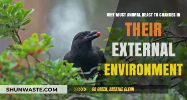 Animal Instincts: How External Changes Trigger Survival Reactions