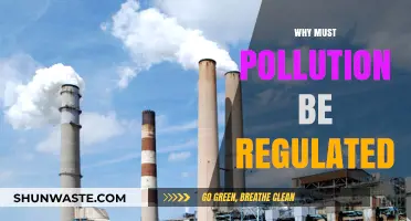 Regulating Pollution: Essential Steps for a Sustainable and Healthy Future