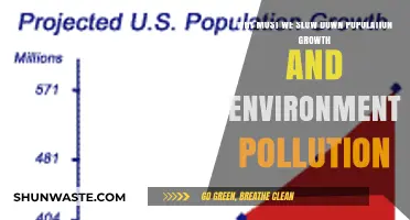 Slowing Population Growth: Key to Combating Environmental Pollution and Sustainability
