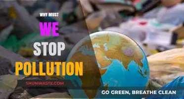 Stop Pollution Now: Saving Our Planet for a Sustainable Future