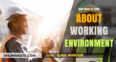 Why Your Working Environment Matters More Than You Think