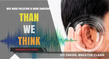 Silent Threat: Uncovering Noise Pollution's Hidden Dangers and Impact