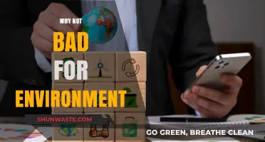 Why Certain Practices Are Not as Harmful to the Environment as You Think