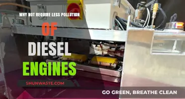 Reducing Diesel Pollution: Why Less Emission Standards Are Not Enough