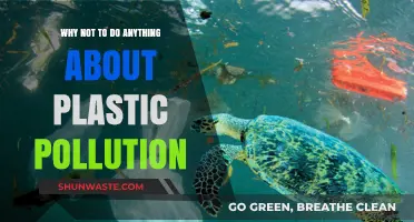 Ignoring Plastic Pollution: The Risks of Inaction and Apathy