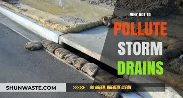 Protect Storm Drains: Prevent Pollution, Save Ecosystems, and Ensure Clean Water