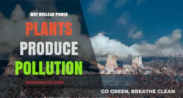 Nuclear Power Plants and Their Hidden Environmental Pollution Impact