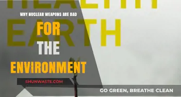 Nuclear Weapons' Devastating Environmental Impact: A Global Threat