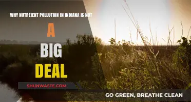 Indiana's Nutrient Pollution: Why It's Not as Bad as You Think