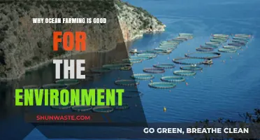 Ocean Farming: A Sustainable Solution for Environmental Restoration and Health