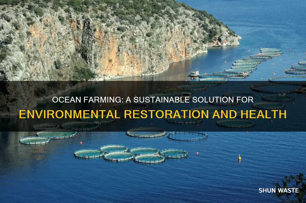 why ocean farming is good for the environment
