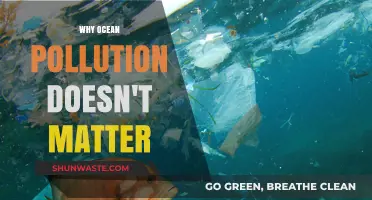 Ocean Pollution's Impact: Why It's Not as Critical as We Think