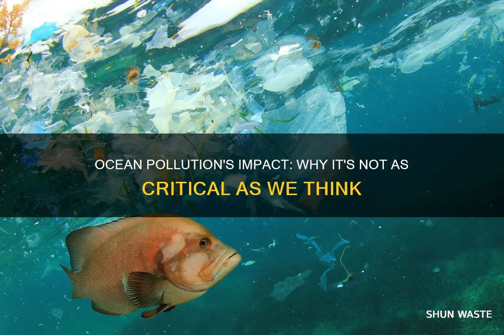 why ocean pollution doesn