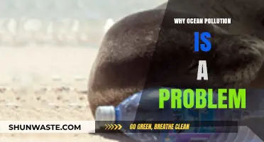Ocean Pollution: A Global Crisis