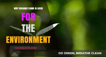 Organic Farming: A Sustainable Solution for Environmental Preservation and Health