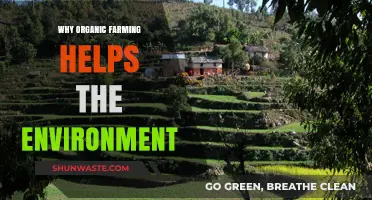 Organic Farming: A Sustainable Solution for Environmental Preservation and Health