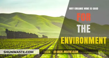 Sustainable Sips: How Organic Wine Benefits Our Planet's Health