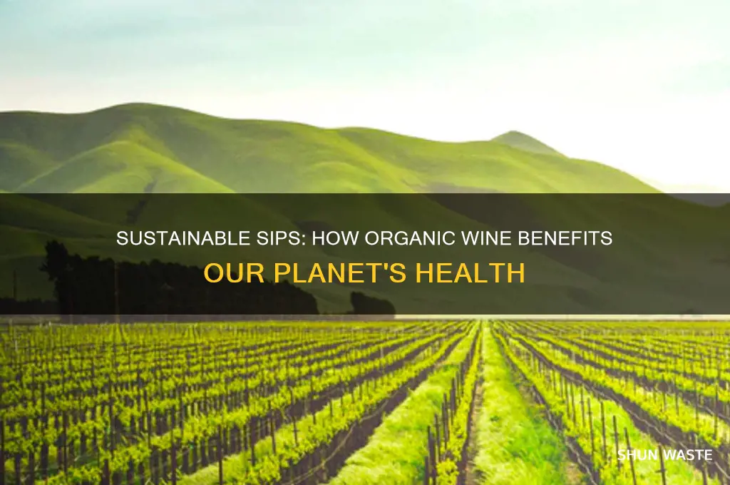 why organic wine is good for the environment