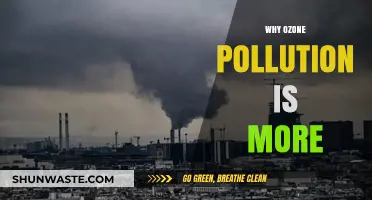 Rising Ozone Pollution: Causes, Impacts, and Urgent Solutions Explained