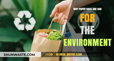 Paper Bags' Hidden Environmental Costs: Uncovering Their Ecological Impact