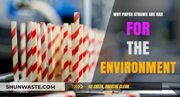 Paper Straws' Hidden Environmental Costs: Are They Truly Eco-Friendly?