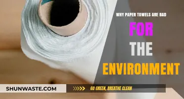 The Hidden Environmental Impact of Using Paper Towels Daily