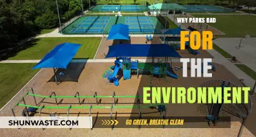 Parks' Hidden Environmental Costs: Uncovering the Ecological Downsides