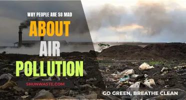 Air Pollution: A Global Health Crisis