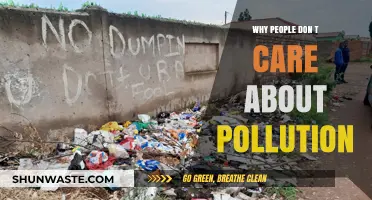 Apathy Amidst Pollution: Why Society Ignores Environmental Degradation