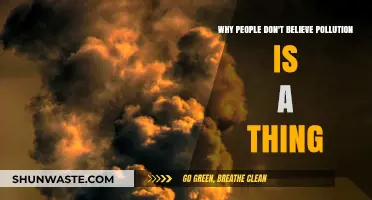 Why Many Doubt Pollution's Reality: Unraveling the Skepticism