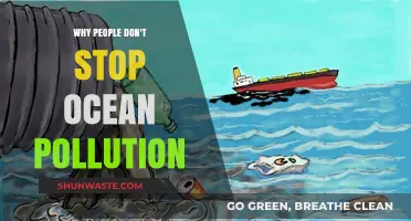 Why Ocean Pollution Persists: Ignorance, Apathy, and Systemic Failures