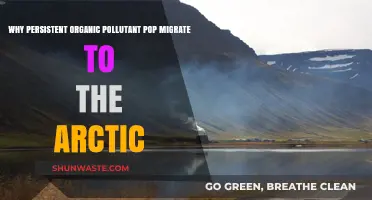 Why Persistent Organic Pollutants Migrate to the Arctic: Unraveling the Mystery