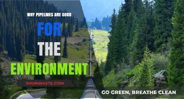 Pipelines: Eco-Friendly Solutions for Sustainable Energy Transportation