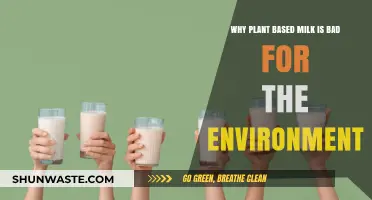 Plant-Based Milk's Hidden Environmental Costs: What You Need to Know